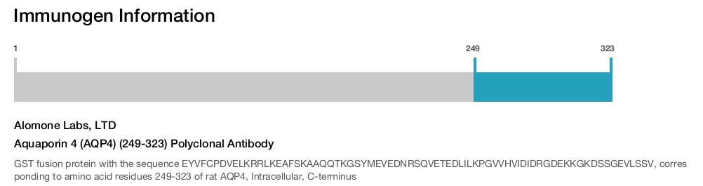 Aquaporin 4 (AQP4) (249-323) Polyclonal Antibody