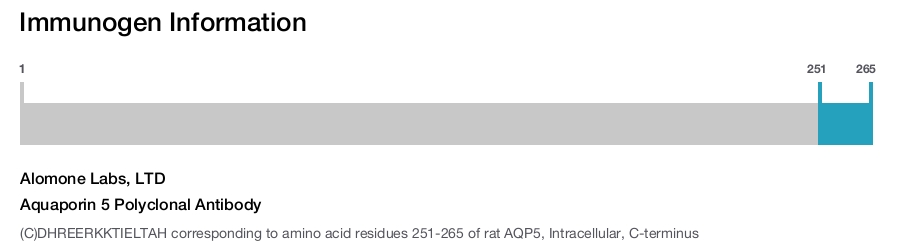 Aquaporin 5 Polyclonal Antibody