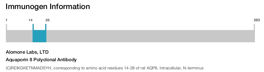 Aquaporin 8 Polyclonal Antibody