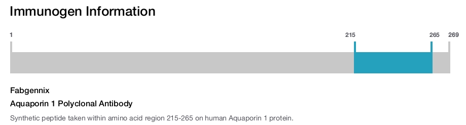 Aquaporin 1 Polyclonal Antibody