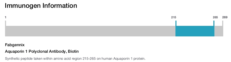 Aquaporin 1 Polyclonal Antibody, Biotin