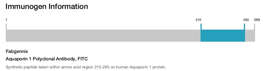 Aquaporin 1 Polyclonal Antibody, FITC