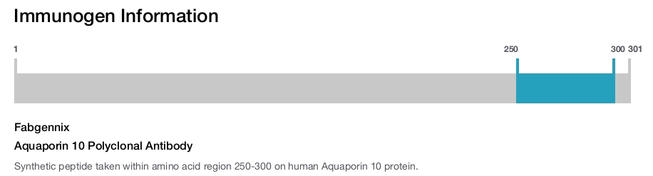 Aquaporin 10 Polyclonal Antibody