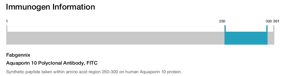 Aquaporin 10 Polyclonal Antibody, FITC