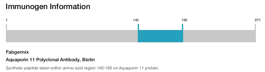 Aquaporin 11 Polyclonal Antibody, Biotin