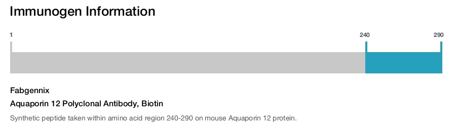 Aquaporin 12 Polyclonal Antibody, Biotin