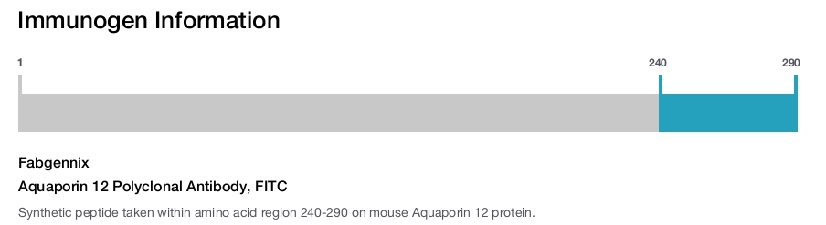 Aquaporin 12 Polyclonal Antibody, FITC