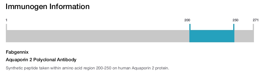 Aquaporin 2 Polyclonal Antibody