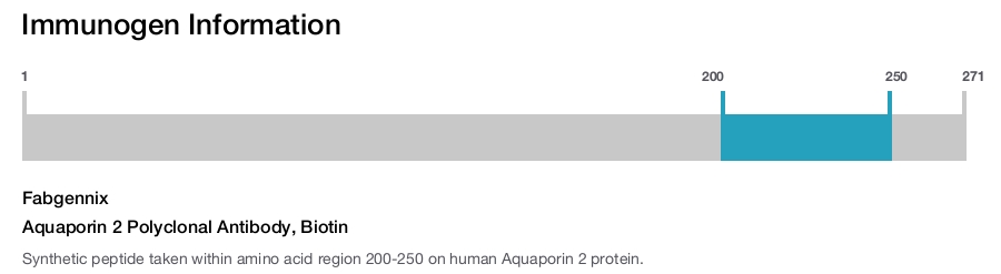 Aquaporin 2 Polyclonal Antibody, Biotin