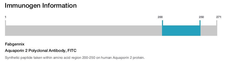Aquaporin 2 Polyclonal Antibody, FITC