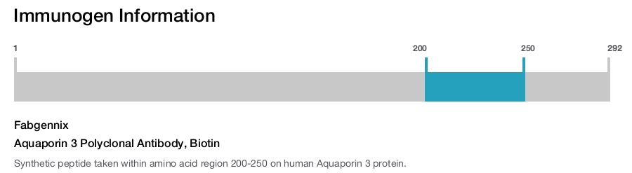 Aquaporin 3 Polyclonal Antibody, Biotin