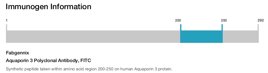 Aquaporin 3 Polyclonal Antibody, FITC