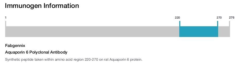 Aquaporin 6 Polyclonal Antibody