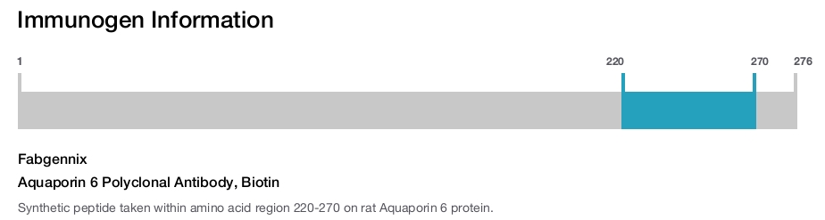 Aquaporin 6 Polyclonal Antibody, Biotin