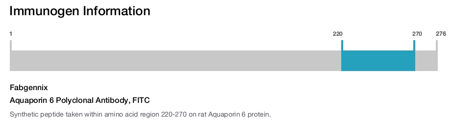 Aquaporin 6 Polyclonal Antibody, FITC