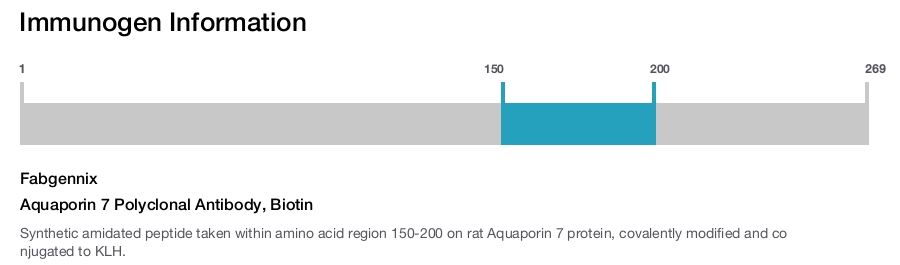 Aquaporin 7 Polyclonal Antibody, Biotin