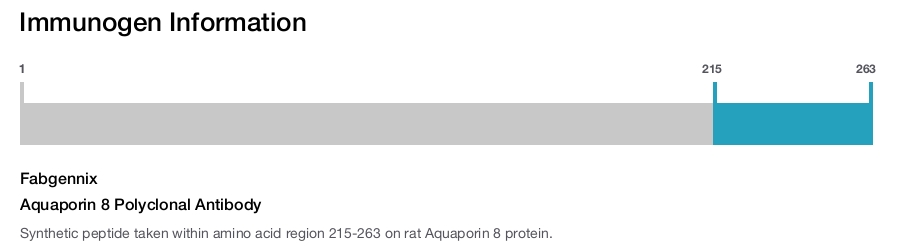 Aquaporin 8 Polyclonal Antibody
