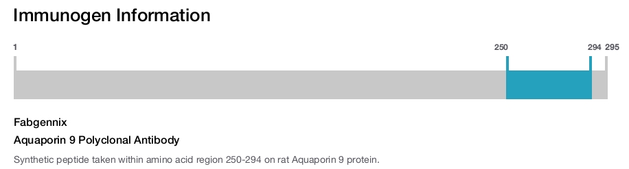 Aquaporin 9 Polyclonal Antibody