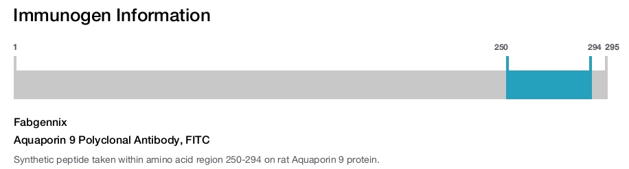 Aquaporin 9 Polyclonal Antibody, FITC