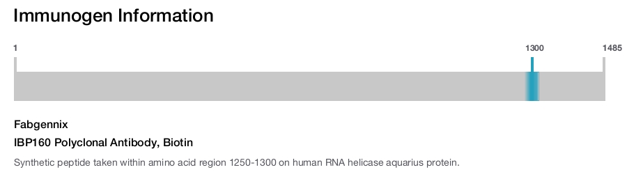 IBP160 Polyclonal Antibody, Biotin