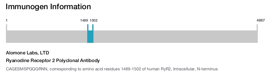 Ryanodine Receptor 2 Polyclonal Antibody