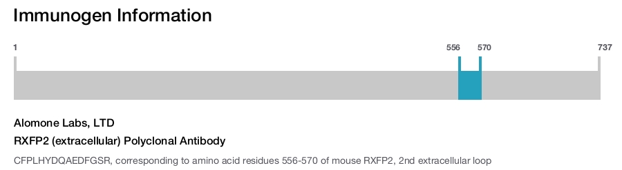 RXFP2 (extracellular) Polyclonal Antibody