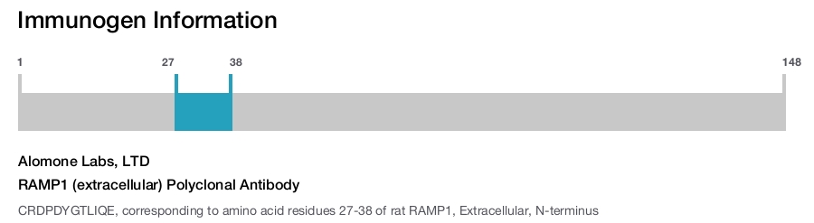 RAMP1 (extracellular) Polyclonal Antibody