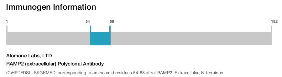 RAMP2 (extracellular) Polyclonal Antibody