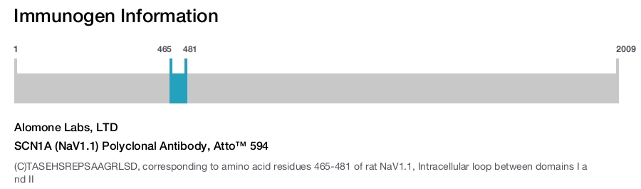 SCN1A (NaV1.1) Polyclonal Antibody, Atto™ 594