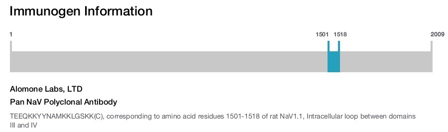 Pan NaV Polyclonal Antibody