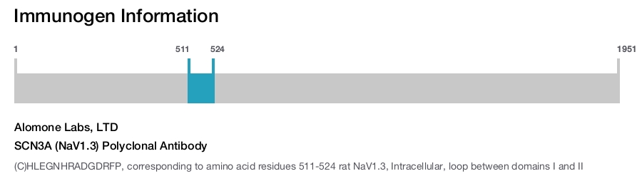 SCN3A (NaV1.3) Polyclonal Antibody