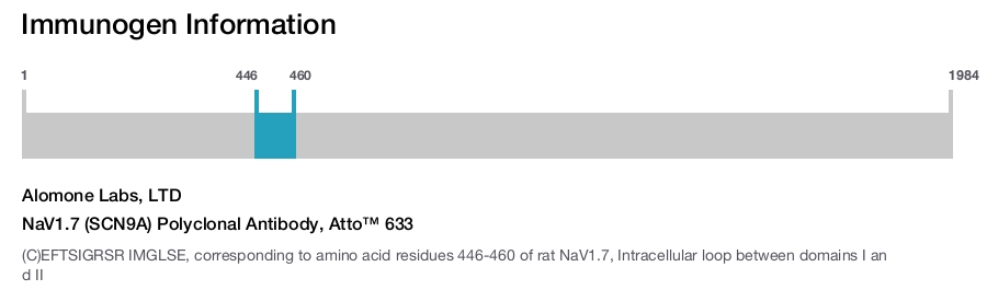 NaV1.7 (SCN9A) Polyclonal Antibody, Atto&trade; 633