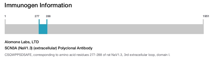 SCN3A (NaV1.3) (extracellular) Polyclonal Antibody