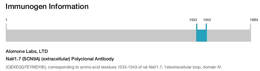 NaV1.7 (SCN9A) (extracellular) Polyclonal Antibody