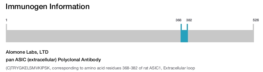 pan ASIC (extracellular) Polyclonal Antibody