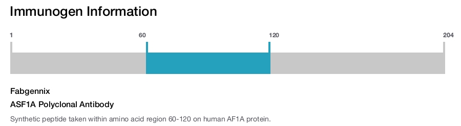 ASF1A Polyclonal Antibody