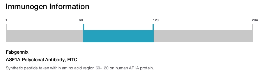 ASF1A Polyclonal Antibody, FITC