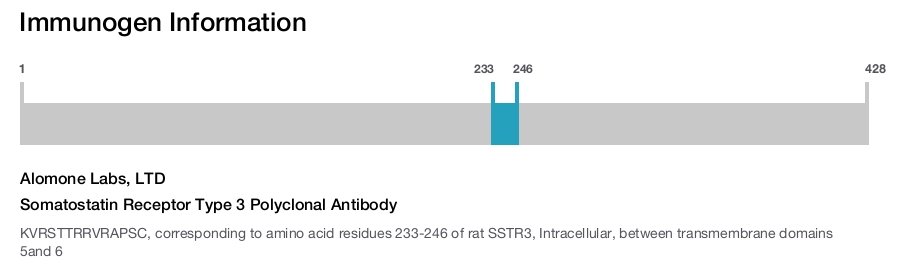 Somatostatin Receptor Type 3 Polyclonal Antibody