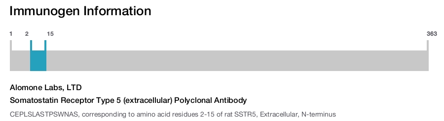 Somatostatin Receptor Type 5 (extracellular) Polyclonal Antibody