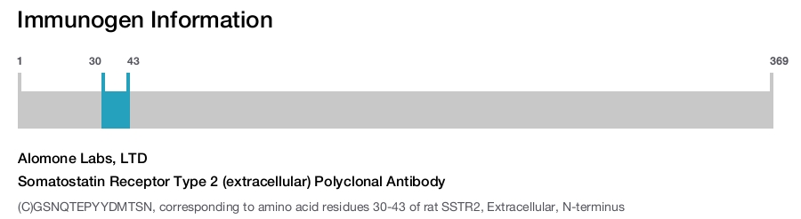Somatostatin Receptor Type 2 (extracellular) Polyclonal Antibody