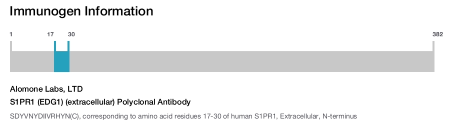 S1PR1 (EDG1) (extracellular) Polyclonal Antibody