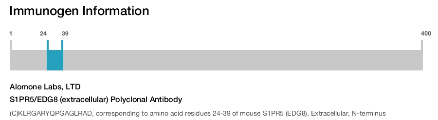S1PR5/EDG8 (extracellular) Polyclonal Antibody