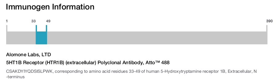 5HT1B Receptor (HTR1B) (extracellular) Polyclonal Antibody, Atto™ 488