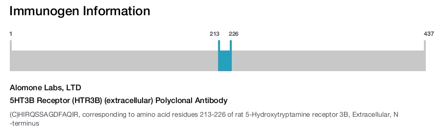5HT3B Receptor (HTR3B) (extracellular) Polyclonal Antibody