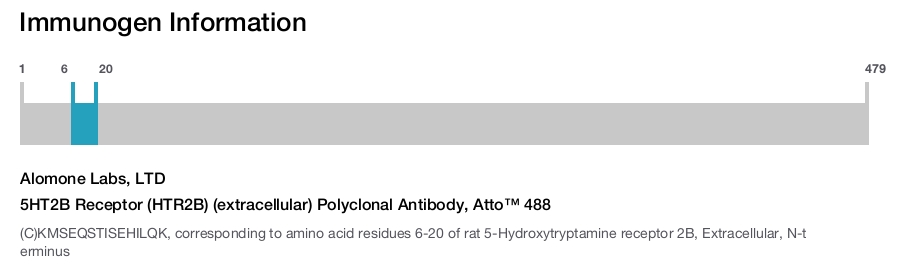 5HT2B Receptor (HTR2B) (extracellular) Polyclonal Antibody, Atto™ 488