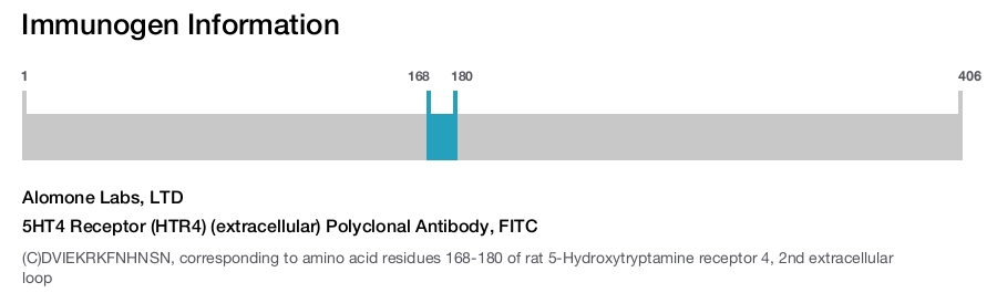 5HT4 Receptor (HTR4) (extracellular) Polyclonal Antibody, FITC