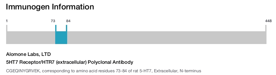 5HT7 Receptor/HTR7 (extracellular) Polyclonal Antibody