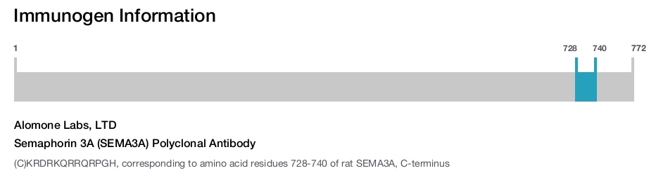 Semaphorin 3A (SEMA3A) Polyclonal Antibody