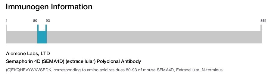 Semaphorin 4D (SEMA4D) (extracellular) Polyclonal Antibody
