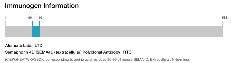 Semaphorin 4D (SEMA4D) (extracellular) Polyclonal Antibody, FITC